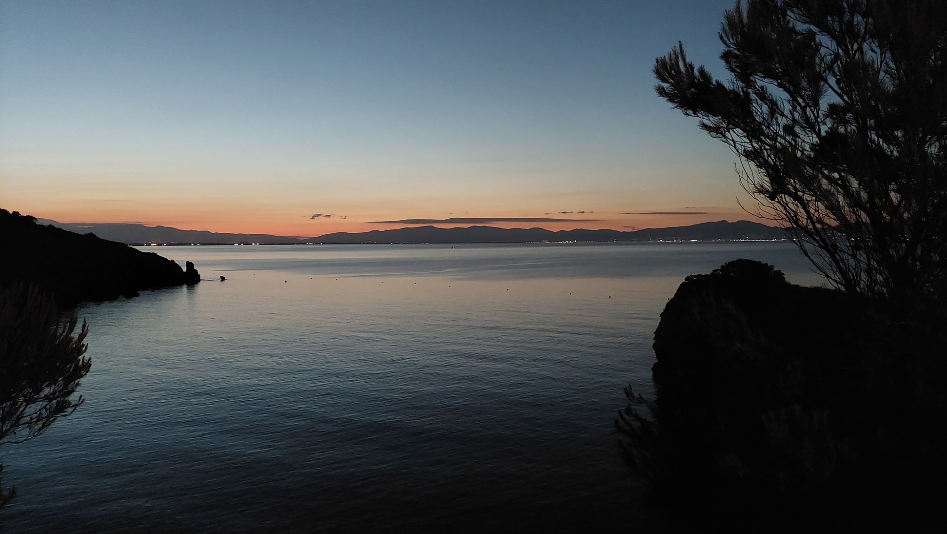 Header